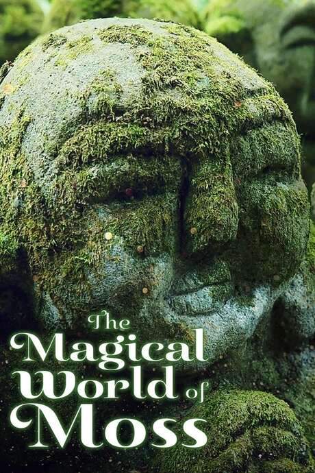 The Magical World of Moss